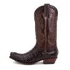 10004 Cuervo Cola Cresta Marron -SENDRA Ventas 10004 cuervo cola cresta marron 529025
