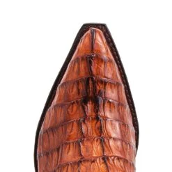 10004 Cuervo Cola Cresta Peanut -SENDRA Ventas 10004 cuervo cola cresta peanut 281252