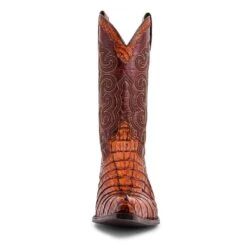10004 Cuervo Cola Cresta Peanut -SENDRA Ventas 10004 cuervo cola cresta peanut 871671