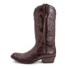 10004 Dom Cola Barriga Marron -SENDRA Ventas 10004 dom cola barriga marron 126355