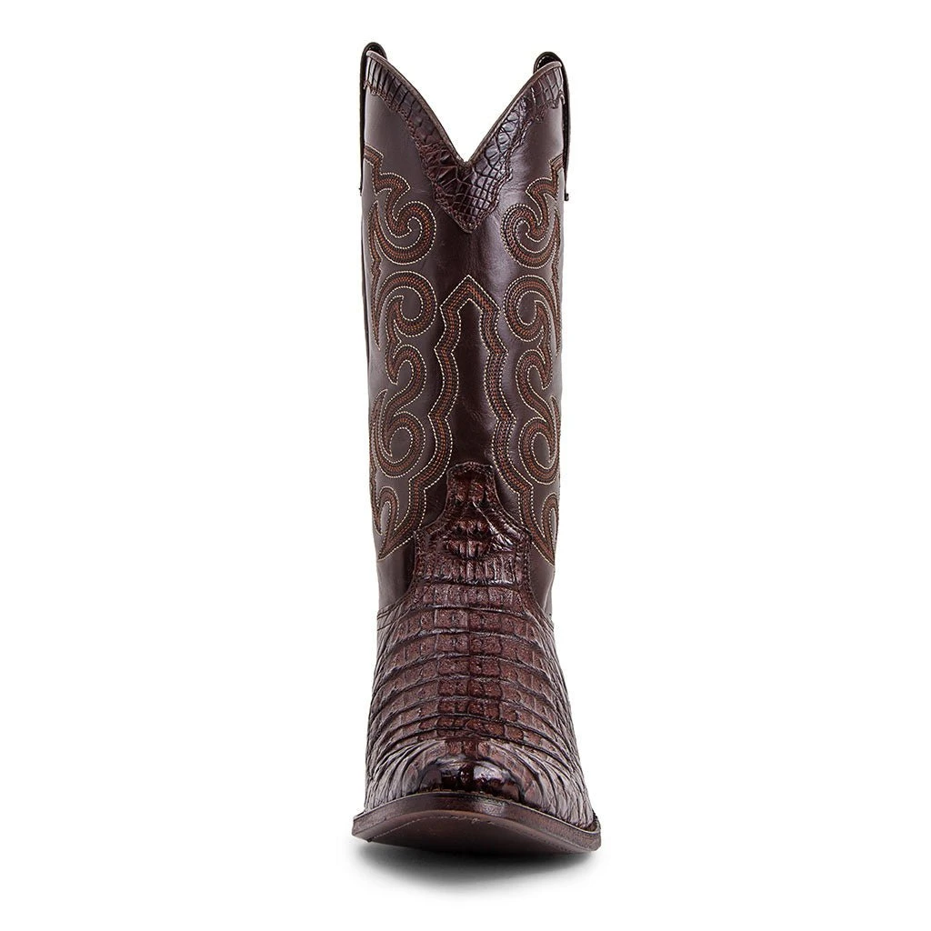 10004 Dom Cola Barriga Marron 4 10004 Dom Cola Barriga Marron - Image 2