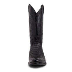 10004 Dom Cola Barriga Negro 11 10004 Dom Cola Barriga Negro -SENDRA Ventas 10004 dom cola barriga negro 558086