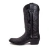 10004 Dom Cola Barriga Negro 2 10004 Dom Cola Barriga Negro -SENDRA Ventas 10004 dom cola barriga negro 945589