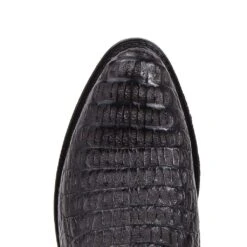 10004 Dom Cola Barriga Negro 10 10004 Dom Cola Barriga Negro -SENDRA Ventas 10004 dom cola barriga negro 946912