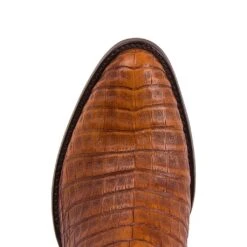 10004 Dom Cola Barriga Peanut 9 10004 Dom Cola Barriga Peanut -SENDRA Ventas 10004 dom cola barriga peanut 388053