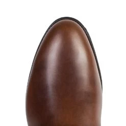 18857SD1 SNEUM CICLON SEAHORSE 12 18857SD1 SNEUM CICLON SEAHORSE -SENDRA Ventas 18857sd1 sneum ciclon seahorse 572896