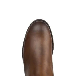 5595 Kaspar B Evolution Tang UN -SENDRA Ventas 5