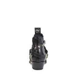 8024 CUERVO SALVAJE NEGRO SALVAJE NEGRO 10 8024 CUERVO SALVAJE NEGRO SALVAJE NEGRO -SENDRA Ventas 8024 cuervo salvaje negro salvaje negro 358163