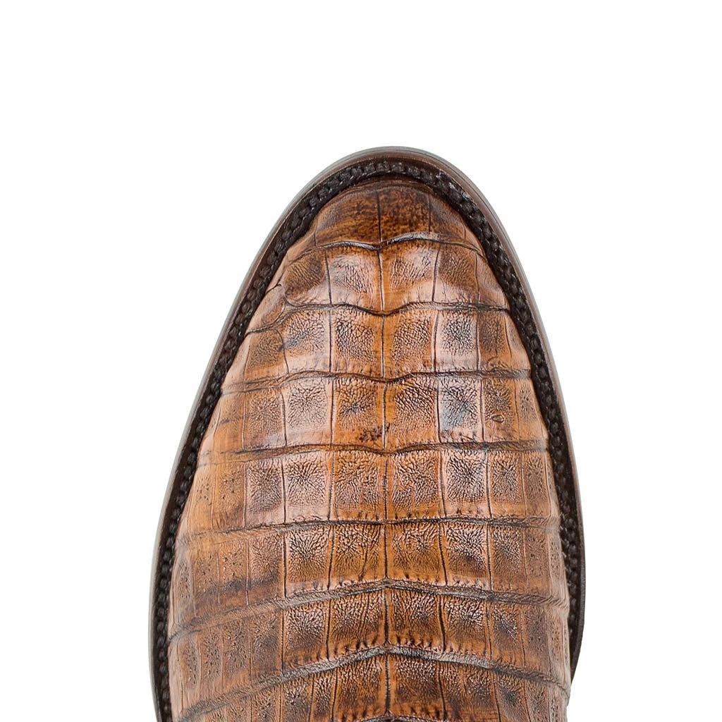 Rodeo Caiman Belly Cognac 6 Rodeo Caiman Belly Cognac - Image 4
