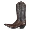 TEXAS L.CAMINA NUCA CHOCOLATE -SENDRA Ventas texas lcamina nuca chocolate 737965