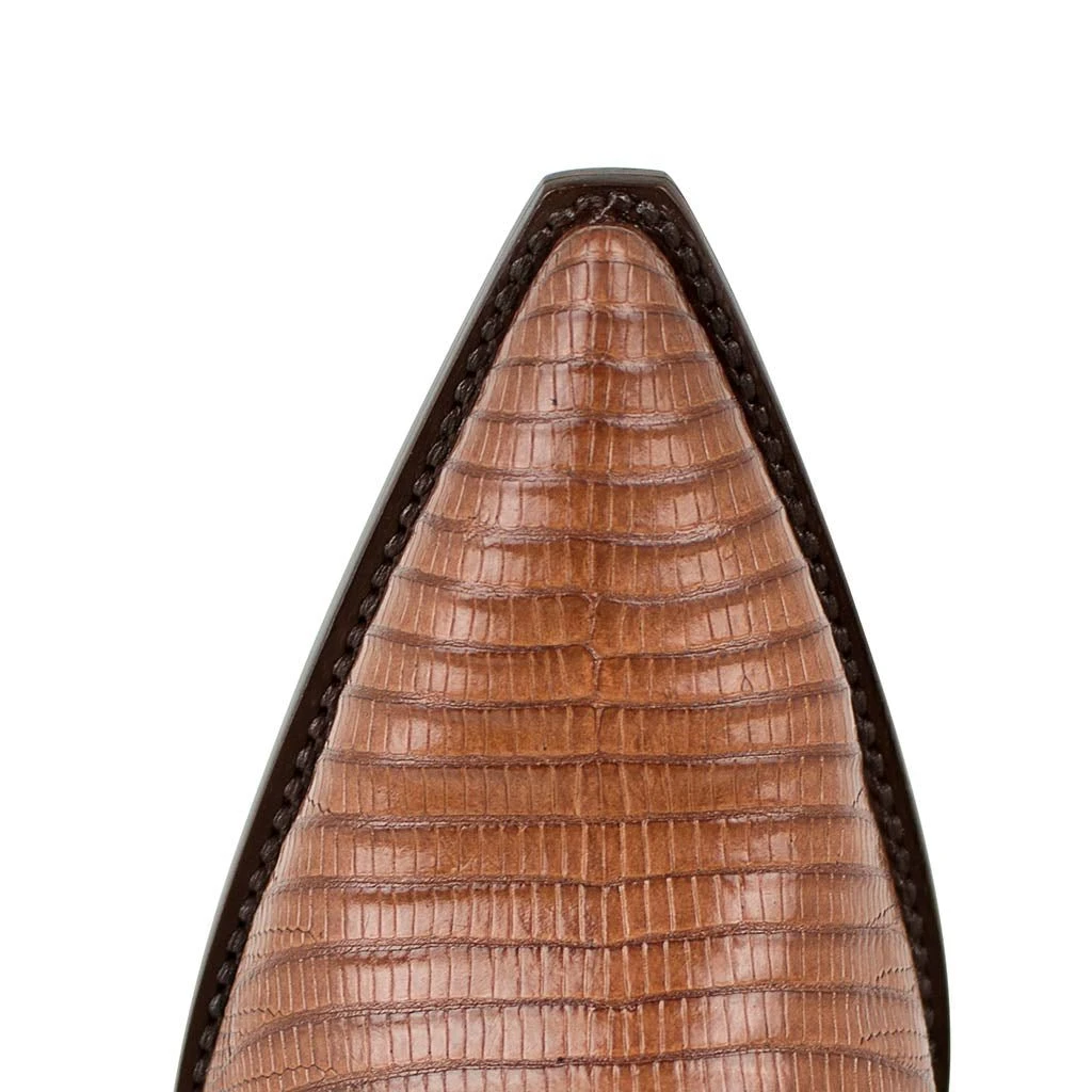 Texas Lizard Tejus Peanut 7 Texas Lizard Tejus Peanut - Image 5